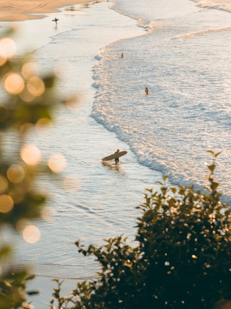 Pexels Photo 12319321 768x1024